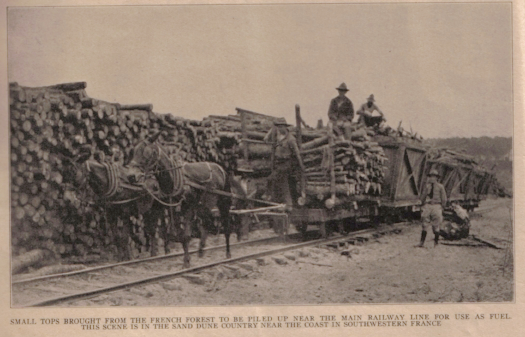 SmallTopsNewRailFrance